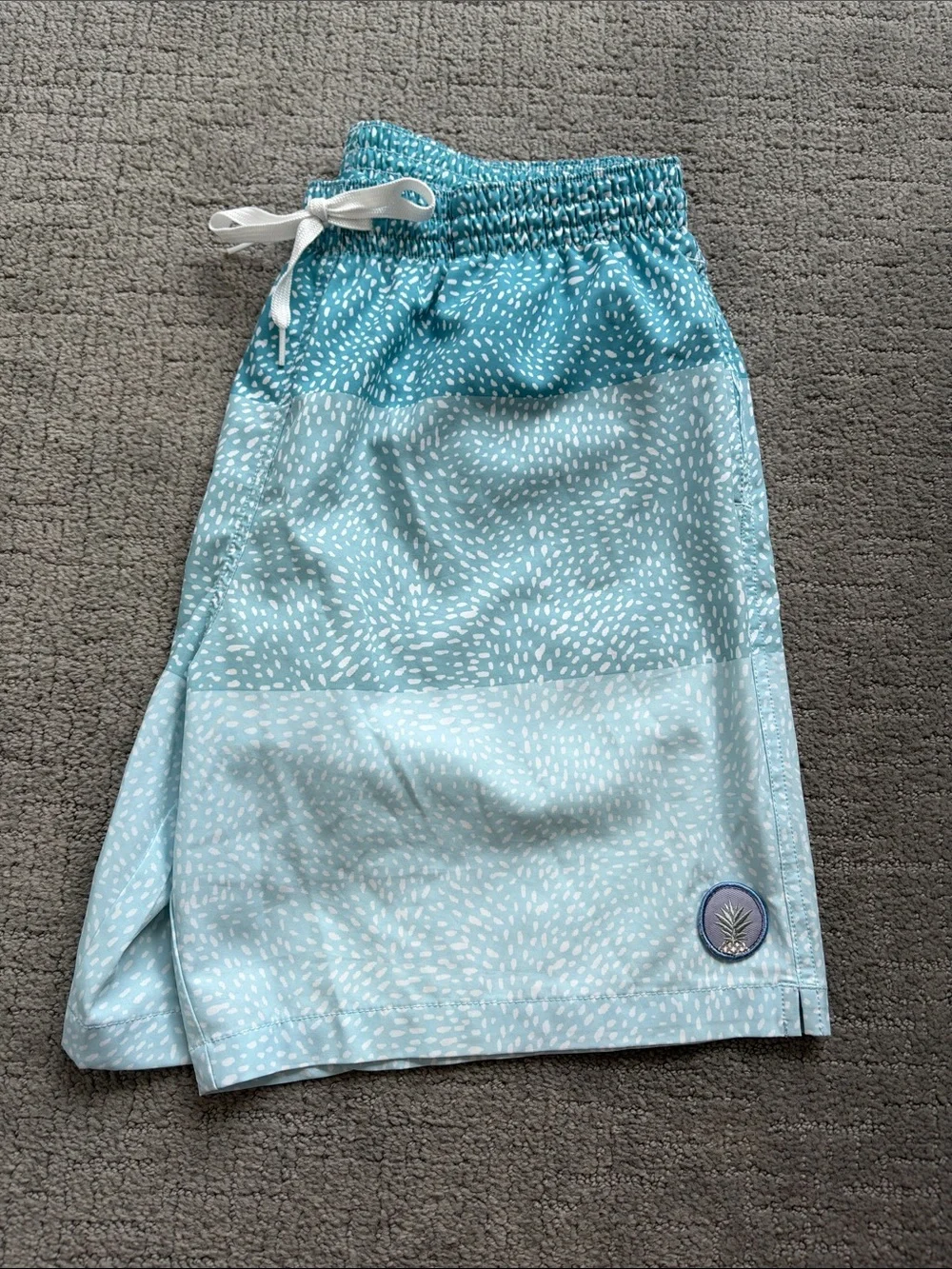 chubbies men’s Swim Shorts